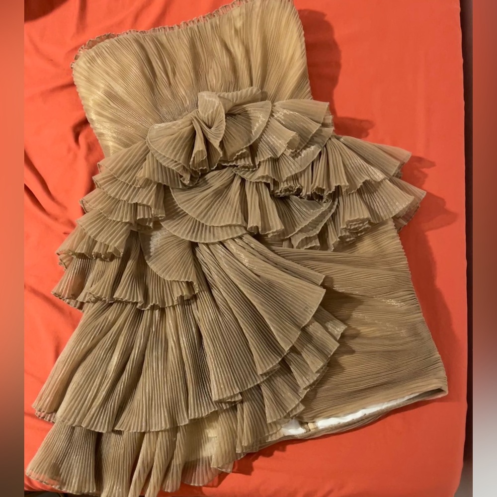 BCBG Truffle Dress